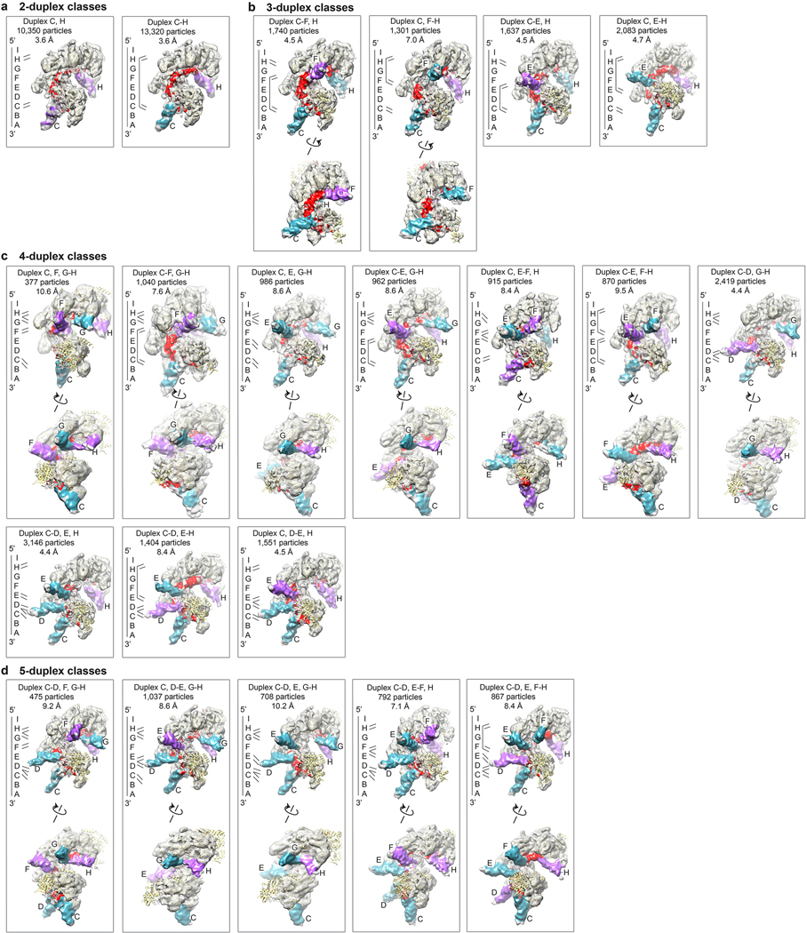 Extended Data Figure 3 |