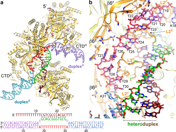 Figure 4 |