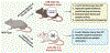 Figure 5: