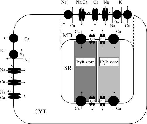 Fig. 1.