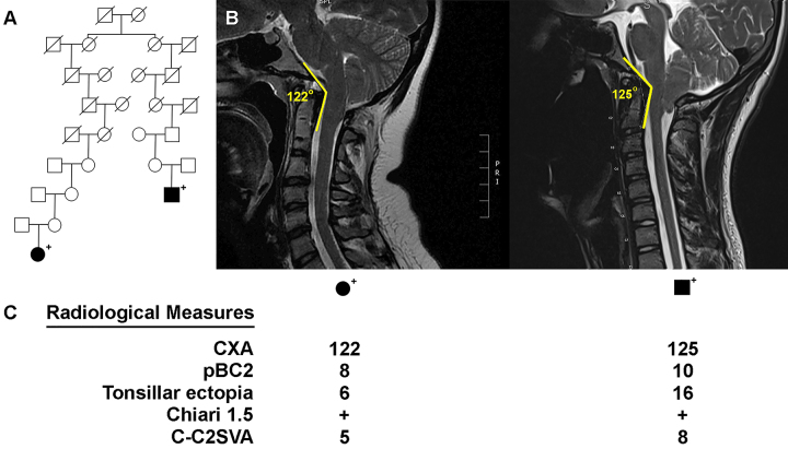 FIG. 2.