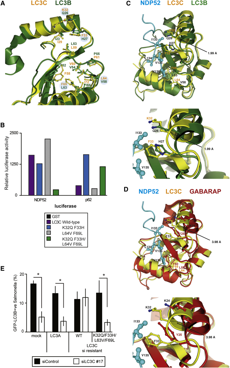 Figure 6