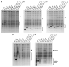 Extended Data Figure 3