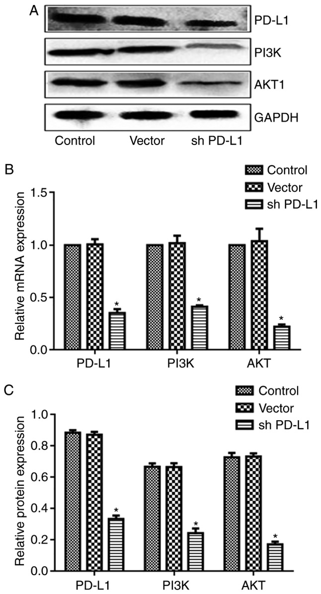 Figure 10.