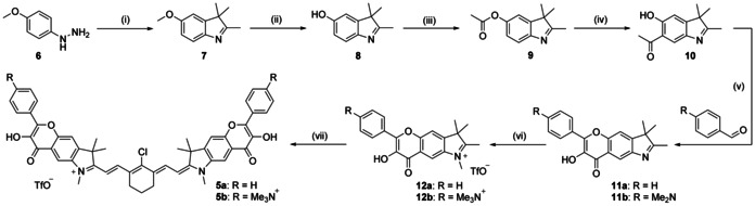 Scheme 1