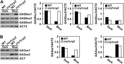 Figure 7.