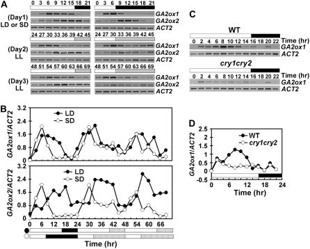 Figure 5.