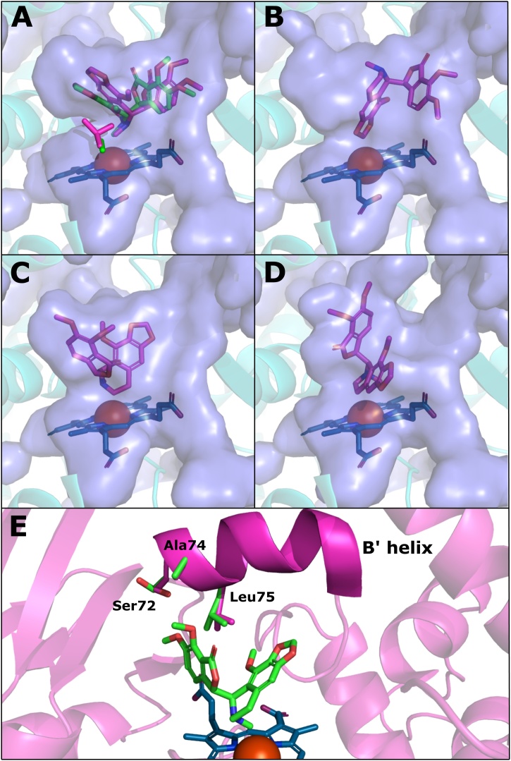 Fig. 6