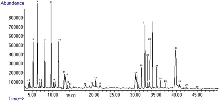 FIGURE 3