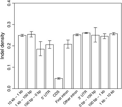 Figure 4.—