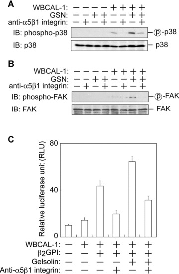 Fig 5