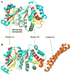 Figure 6