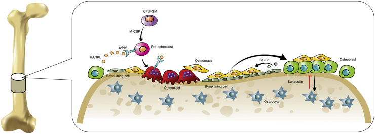 Figure 1