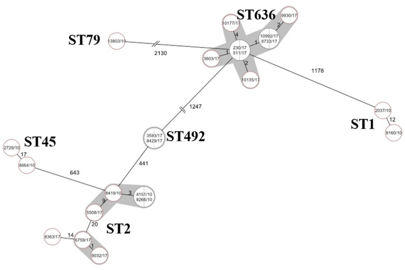 Figure 2