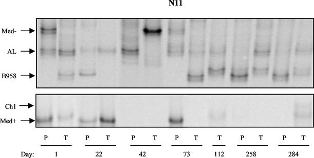 FIG. 2.