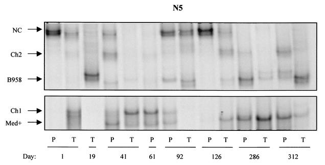 FIG. 3.