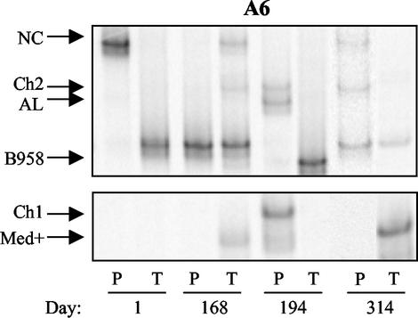 FIG. 4.