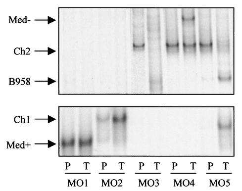 FIG. 5.