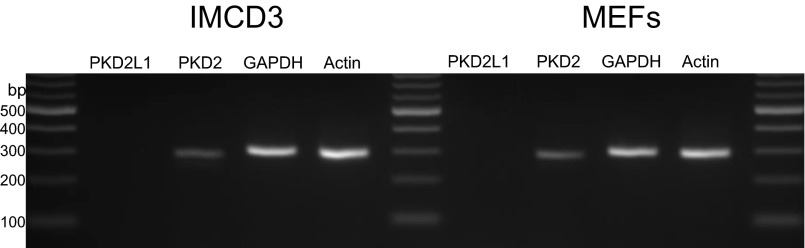 Fig. S6.