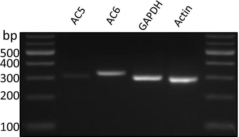 Fig. S3.