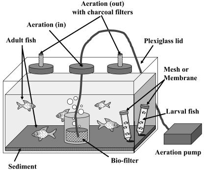 FIG. 1.