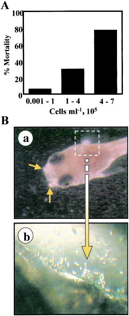 FIG. 6.