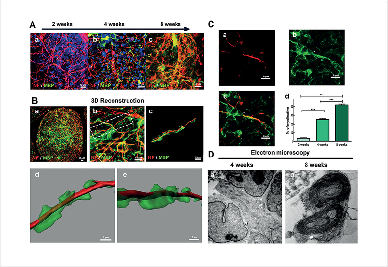 Fig. 4: