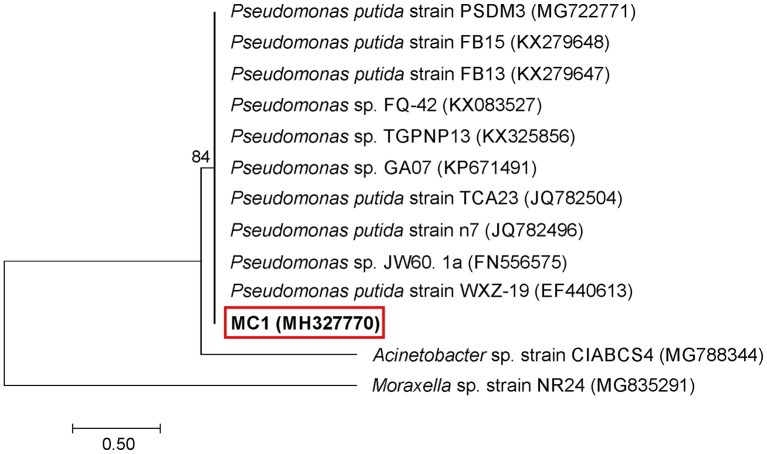 Figure 2