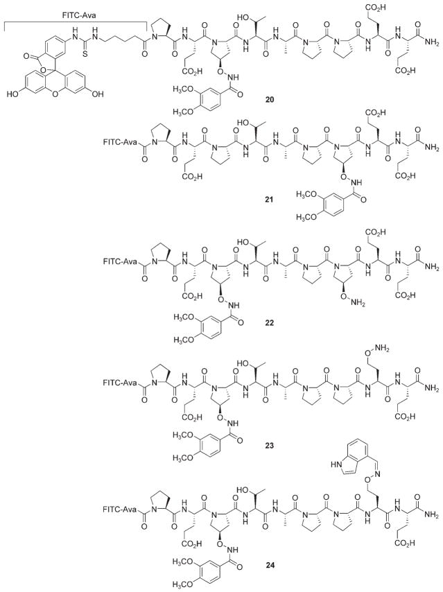 Scheme 3