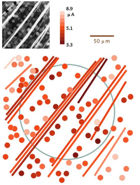 Fig. 6