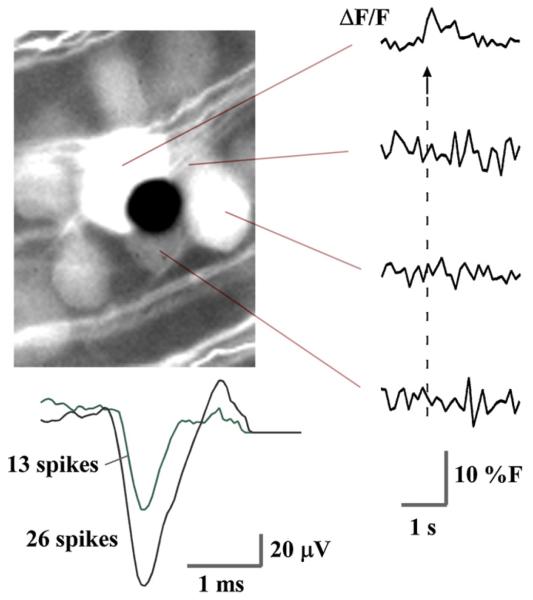 Fig. 4