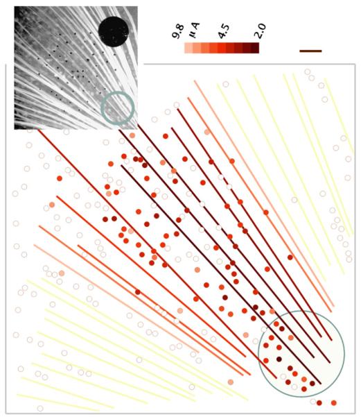 Fig. 7