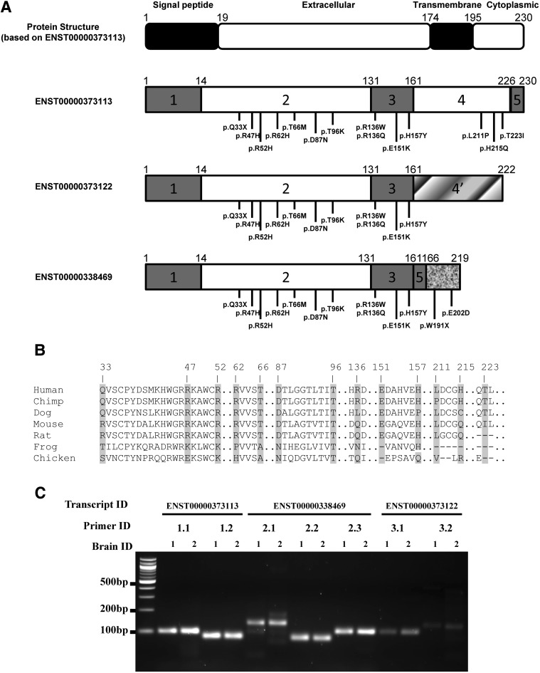 Figure 1.