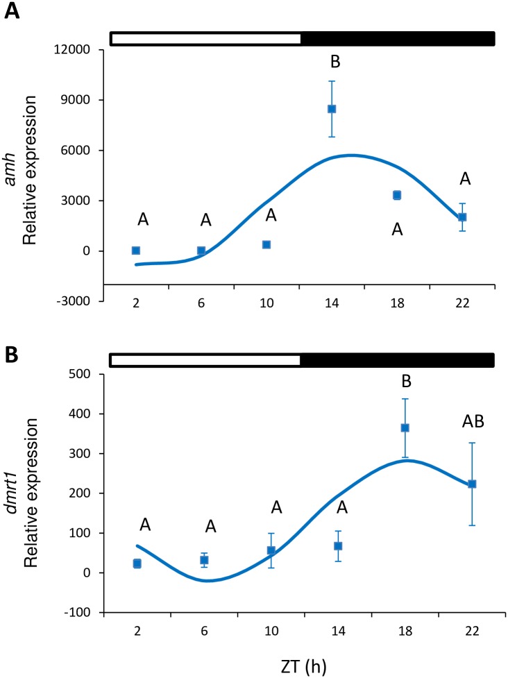 Fig 4