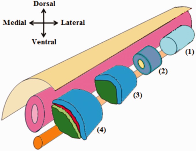 Figure 3.