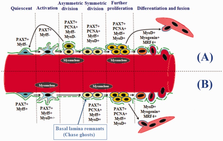 Figure 5.