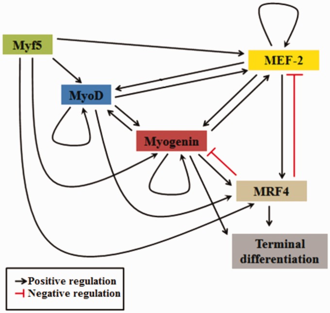 Figure 2.