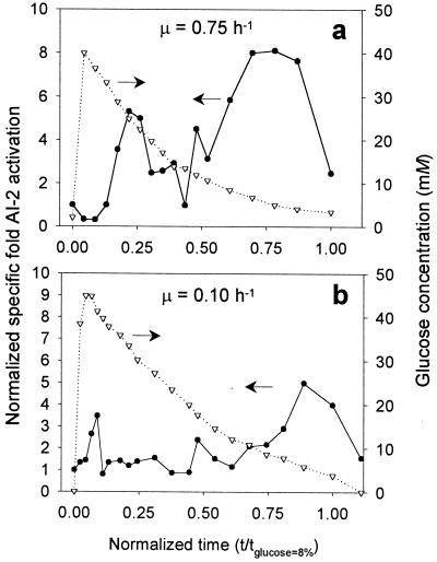 FIG. 3