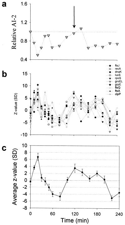 FIG. 7