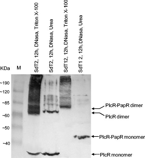 FIG. 10.