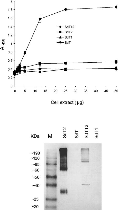 FIG. 8.