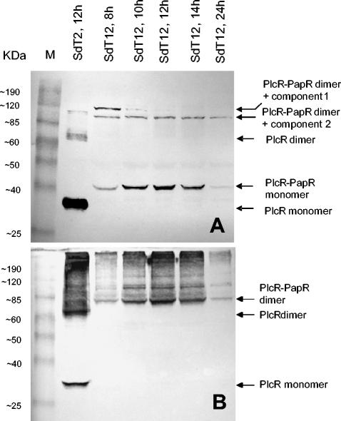 FIG. 9.