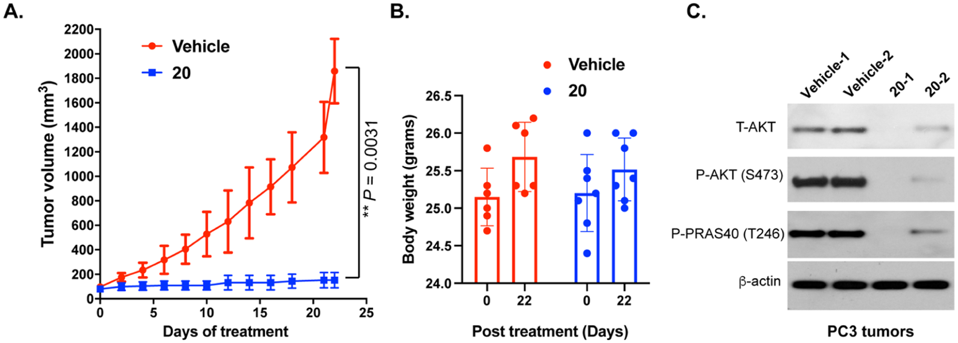 Figure 12.