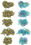 Figure 3—figure supplement 1.