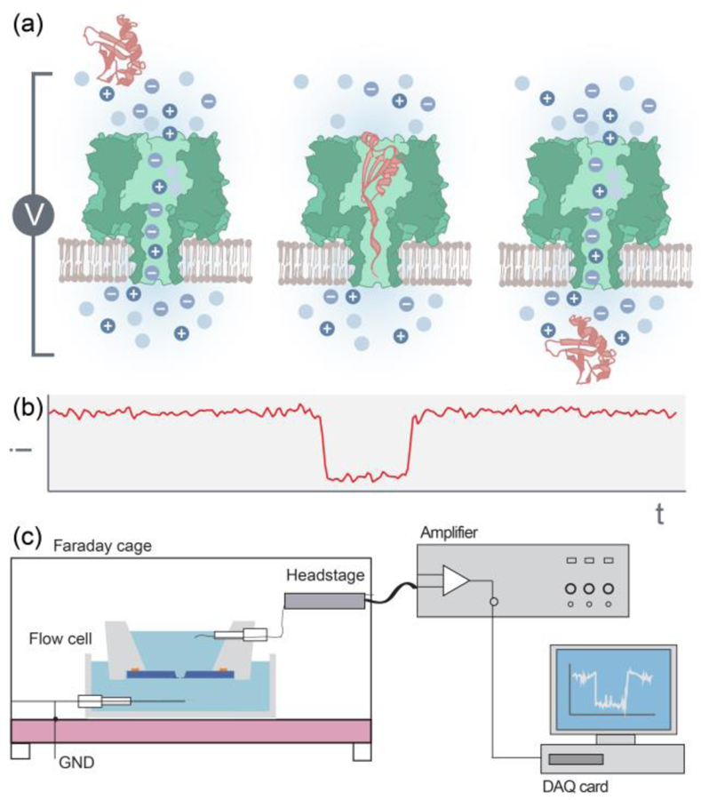 Figure 2.