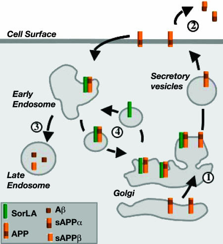 Fig. 6.