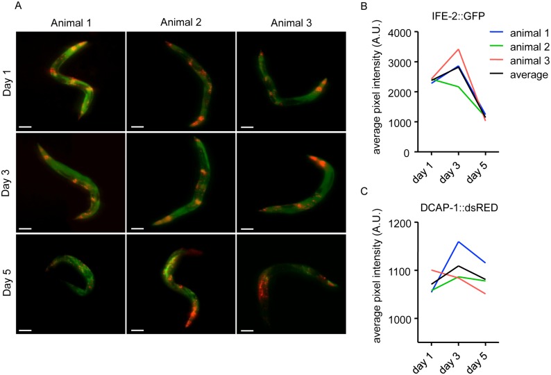 Fig 4