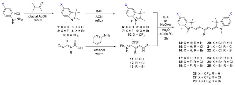 Scheme 1