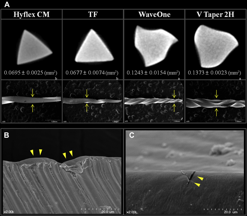 Figure 2