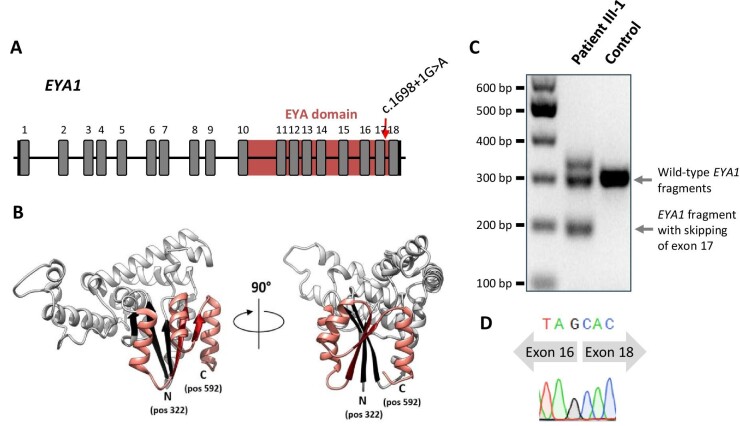 Figure 2: